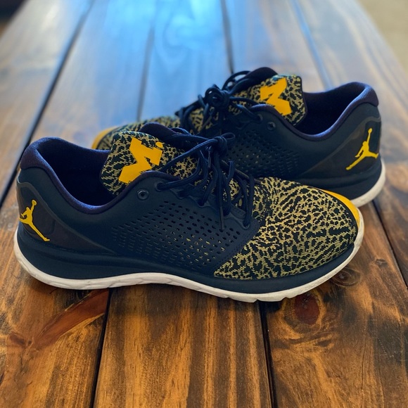 Jordan Trainer ST Michigan PE Promo Sz. 13 - Picture 7 of 9